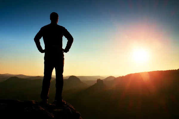 Multi-Talented Services